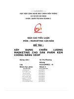 Xây dựng chiến lượng marketing cho sản phẩm kemchống nắng veop