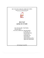 Bài tập kinh tế vĩ mô