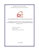 Bản kế hoạch kinh doanh trên internet cho sản phẩm bàn chải Điện brushie 2 in 1 của công ty cổ phần smilee việt nam giai Đoạn quý 2:2023