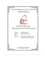 Báo cáo tiểu luận Đề tài  mạng named data networking (ndn)