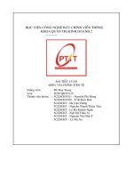 Ài tiểu luận môn  tài chính tiền tệ