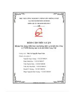 Báo cáo tiểu luận Đề tài  xây dựng chiến lược marketing dịch vụ du lịch cho công ty tnhh thương mại và du lịch khát vọng việt