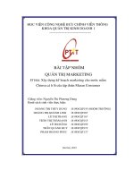 Bài tập nhóm quản trị marketing Đề tài  xây dựng kế hoạch marketing cho nước mắm chinsu cá hồi của tập Đoàn masan consumer