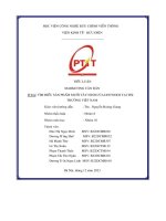 Tiểu luận marketing căn bản Đề tài  tìm hiểu sản phẩm muối tây ninh của dh foods tại thị trường việt nam 12