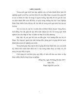 Đánh giá công tác xây dựng nông thôn mới theo tiêu chí nâng cao trên Địa bàn xã bình minh, huyện trảng bom, tỉnh Đồng nai