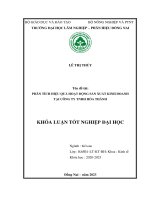 Phân tích hiệu quả hoạt Động sản xuất kinh doanh tại công ty tnhh hoà thành