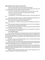 Biện pháp thi công kè chắn Đất