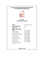 Báo cáo thương mại di Động
