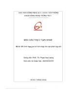 Báo cáo thực tập cơ sở Đề tài  mô hình mạng nơ ron tích chập cho việc phân loại ảnh