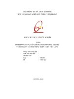 Hoạt Động cung cấp giải pháp thương mại Điện tử của công ty cổ phần phát triển tmđt việt long