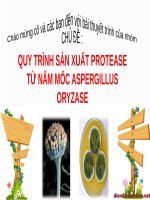 PPT - Quy trình sản xuất protease từ nấm mốc aspergillus oryzae