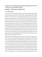 Tác Động của truyền miệng Điện tử Đến quyết Định mua sản phẩm xanh trên tiktok của thế hệ gen z tại thành phố hồ chí minh