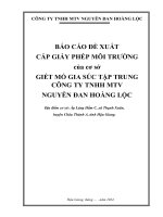Báo cáo Đề xuất cấp gpmt cơ sở giết mổ gia súc tập trung công ty tnhh mtv nguyễn Đan hoàng lộc