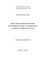 Hoàn thiện kiểm soát nội bộ chu trình mua hàng và thanh toán tại công ty Điện lực gia lai (Đề Án thạc sĩ ngành kế toán)