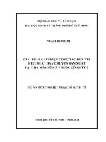 Giải pháp cải thiện công tác duy trì hiệu suất dây chuyền sản xuất tại nhà máy sữa x thuộc công ty y