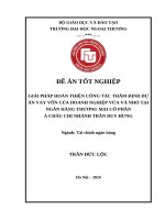 Giải pháp hoàn thiện công tác thẩm định dự án vay vốn của doanh nghiệp vừa và nhỏ tại Ngân hàng Thương mại cổ phần Á Châu chi nhánh Trần Duy Hưng