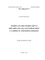 Nghiên cứu một số biến thể và biểu hiện gen A20, CYLD ở bệnh nhân u lympho ác tính không Hodgkin