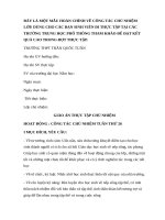 Giáo Án Thực Tập Chủ Nhiệm.docx