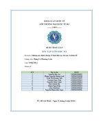 Bài tập lớn học kỳ bộ môn  những quy Định chung về luật dân sự, tài sản và thừa kế