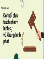 Độ tuổi chịu trách nhiệm hình sự và khung hình phạt