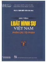 Giáo trình luật hình sự việt nam phần các tội phạm của tác giả trinhquoctoan 2022 quyen2 ban giam dung luong phan1