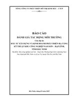 Báo Cáo Đánh Giá Tác Động Môi Trường Đầu Tư Xây Dựng Và Kinh Doanh Phát Triển Hạ Tầng Kỹ Thuật Khu Công Nghiệp Nam Sơn – Hạp Lĩnh, Tỉnh Bắc Ninh.pdf