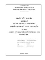 Đề tài nghiên cứu quy trình sản xuất kẹo dẻo kombucha