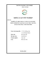 Nghiên cứu hiện trạng và Đề xuất giải pháp trồng mới rừng ngập mặn tại xã thụy trường, huyện thái thụy, tỉnh thái bình