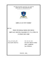 Phân tích hoạt Động bán hàng trên sàn thương mại Điện tử của công ty cổ phần sid corp