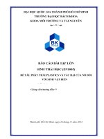 BÁO CÁO BÀI TẬP LỚN SINH THÁI HỌC (EN1005) ĐỀ TÀI: PHÁT THẢI PLASTICS VÀ TÁC HẠI CỦA NÓ ĐỐI  VỚI SINH VẬT BIỂN