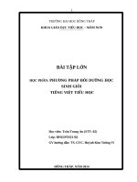 BÀI TẬP LỚN - HỌC PHẦN: PHƯƠNG PHÁP BỒI DƯỠNG HỌC SINH GIỎI  TIẾNG VIỆT TIỂU HỌC