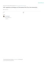 Vietnamese zen truclam monastery