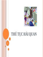 Bài giảng -  thủ tục hải quan  ( combo full slides   5 bài thủ công )