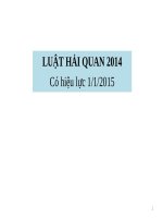 Bài Giảng - LUẬT HẢI QUAN 2014