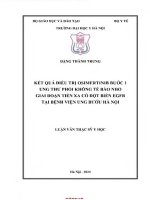 Kết quả Điều trị osimertinib bước 1 ung thư phổi không tế bào nhỏ giai Đoạn tiến xa có Đột biến egfr tại bệnh viện ung bướu hà nội
