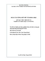Nghiên cứu thực nghiệm Đo lực cắt sinh ra trong gia công tính bằng chất lỏng phi newton