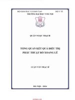 Tổng quan kết quả Điều trị phẫu thuật rò xoang lê