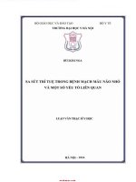 Sa Sút Trí Tuệ Trong Bệnh Mạch Máu Não Nhỏ Và Một Số Yếu Tố Liên Quan.pdf