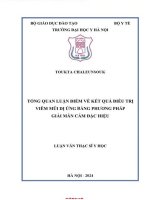 Tổng quan luận Điểm về kết quả Điều trị viêm mũi dị Ứng bằng phương pháp giải mẫn cảm Đặc hiệu