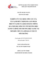 Nghiên cứu tác Động tiêu cực của tẩy xanh Đến Ý Định mua sản phẩm Điện tử xanh của khách hàng thông qua thái Độ, niềm tin với thương hiệu xanh và hình Ảnh thương hiệu xanh vai trò Điều tiết của mối quan tâm về môi trường