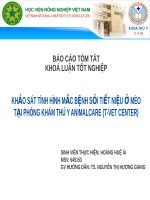 Khảo sát các bệnh thường gặp ở mèo mang tới khám tại  Phòng khám Thú y AnimalCare T-Vet Center