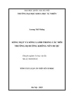 Tómtắt Sóng Mặt Và Sóng Lamb Trong Các Môi Trường Dị Hướng Không Nén Được.pdf