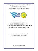 Khóa luận tốt nghiệp Kinh tế - Quản trị kinh doanh: Phân tích rủi ro tín dụng của Ngân hàng Thương mại Cổ phần Á Châu – Chi nhánh An Giang