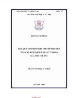 Kết quả tạo hình khe hở môi một bên toàn bộ kết hợp kỹ thuật tajima sửa mũi thì Đầu