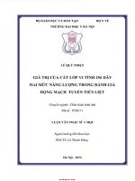 Giá trị của cắt lớp vi tính 256 dãy hai mức năng lượng trong Đánh giá Động mạch tuyến tiền liệt