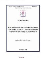 Đặc Điểm hình Ảnh tổn thương phổi và vai trò cắt lớp vi tính trong tiên lượng mức Độ nặng covid 19
