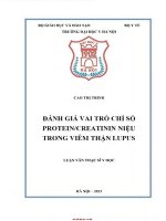 Đánh giá vai trò chỉ số protein, creatinin niệu trong viêm thận lupus
