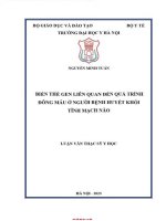 Biến thể gen liên quan Đến quá trình Đông máu Ở người bệnh huyết khối tĩnh mạch não