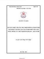 Kết quả Điều trị ung thư phổi không tế bào nhỏ giai Đoạn tái phát, di căn có Đột biến alk bằng alectinib