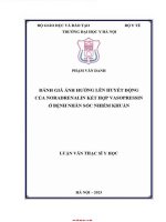 Đánh giá Ảnh hưởng lên huyết Động của noradrenalin kết hợp vasopressin Ở bệnh nhân sốc nhiễm khuẩn